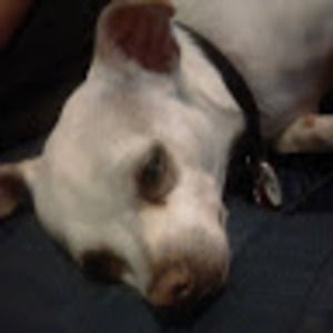 Meet your Posher, Loretta